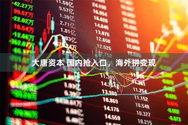 大唐资本 国内抢入口，海外拼变现