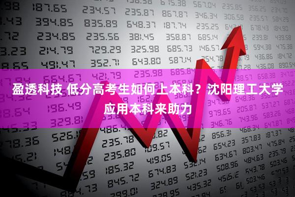 盈透科技 低分高考生如何上本科？沈阳理工大学应用本科来助力