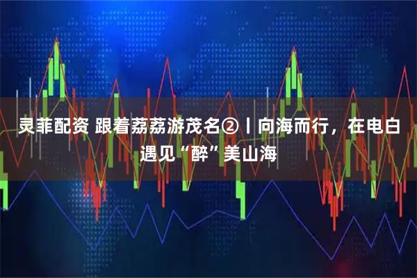 灵菲配资 跟着荔荔游茂名②丨向海而行,在电白遇见“醉”美山海