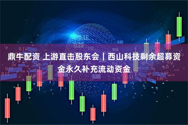 鼎牛配资 上游直击股东会｜西山科技剩余超募资金永久补充流动资金