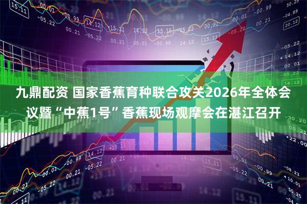 九鼎配资 国家香蕉育种联合攻关2026年全体会议暨“中蕉1号”香蕉现场观摩会在湛江召开